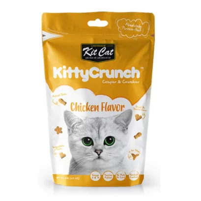 Cat litter ราคาถูก Kit cat